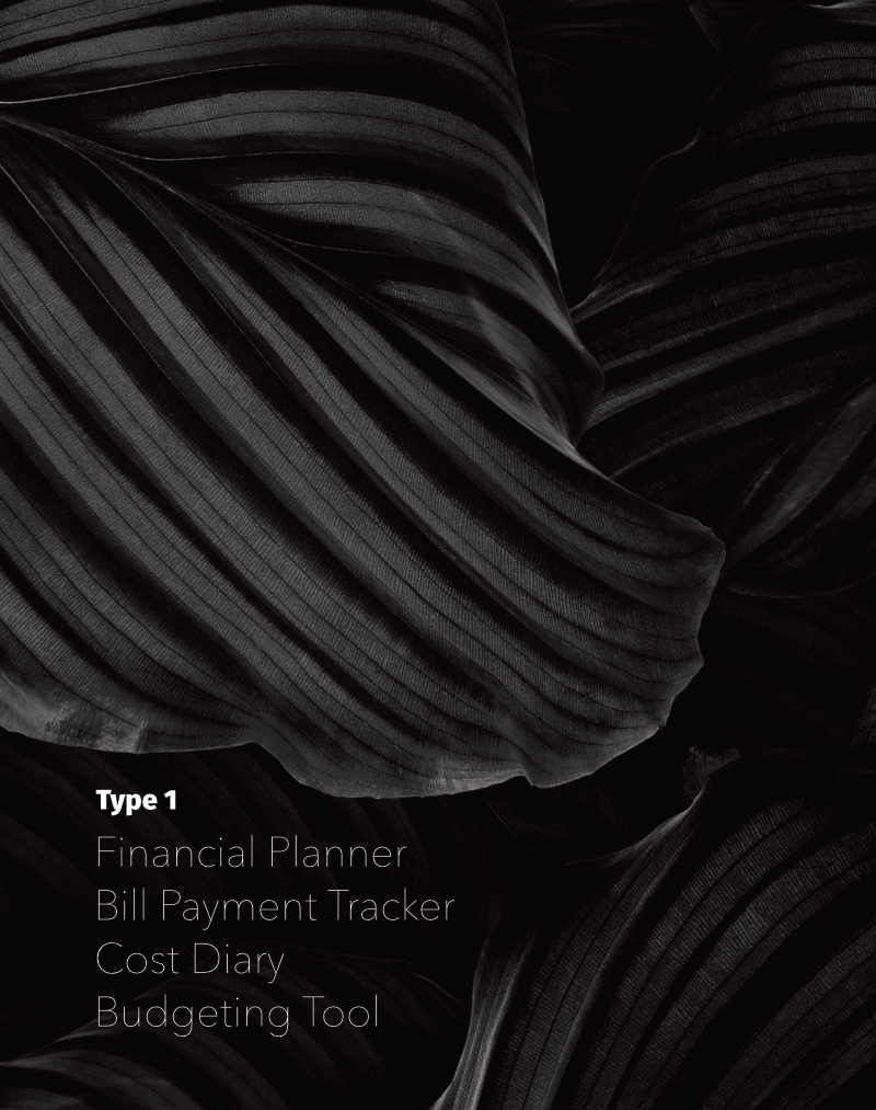 Type 1 Financial Planning for Budgeting Tools, Debt Plan, Monthly Calendar, Cost Diary