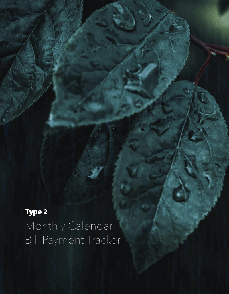 Type 2 Financial Planning for Monthly Calendar and Payment Tracking